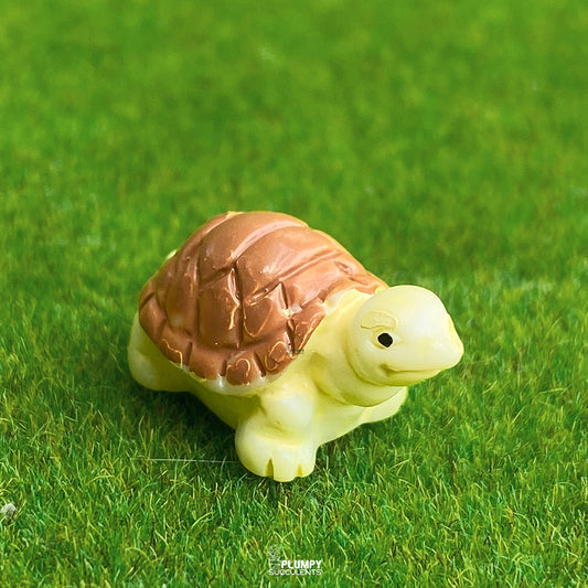 Tortoise