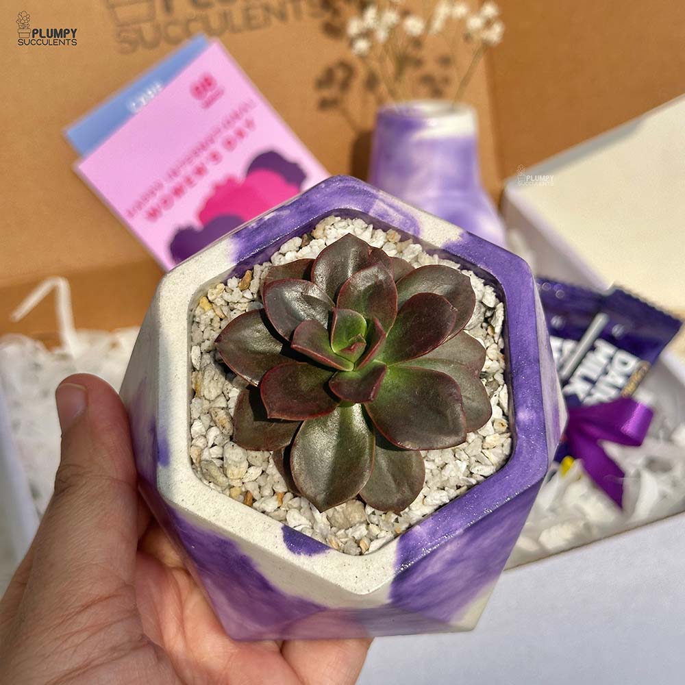 Women's Day Gift Set-Purple