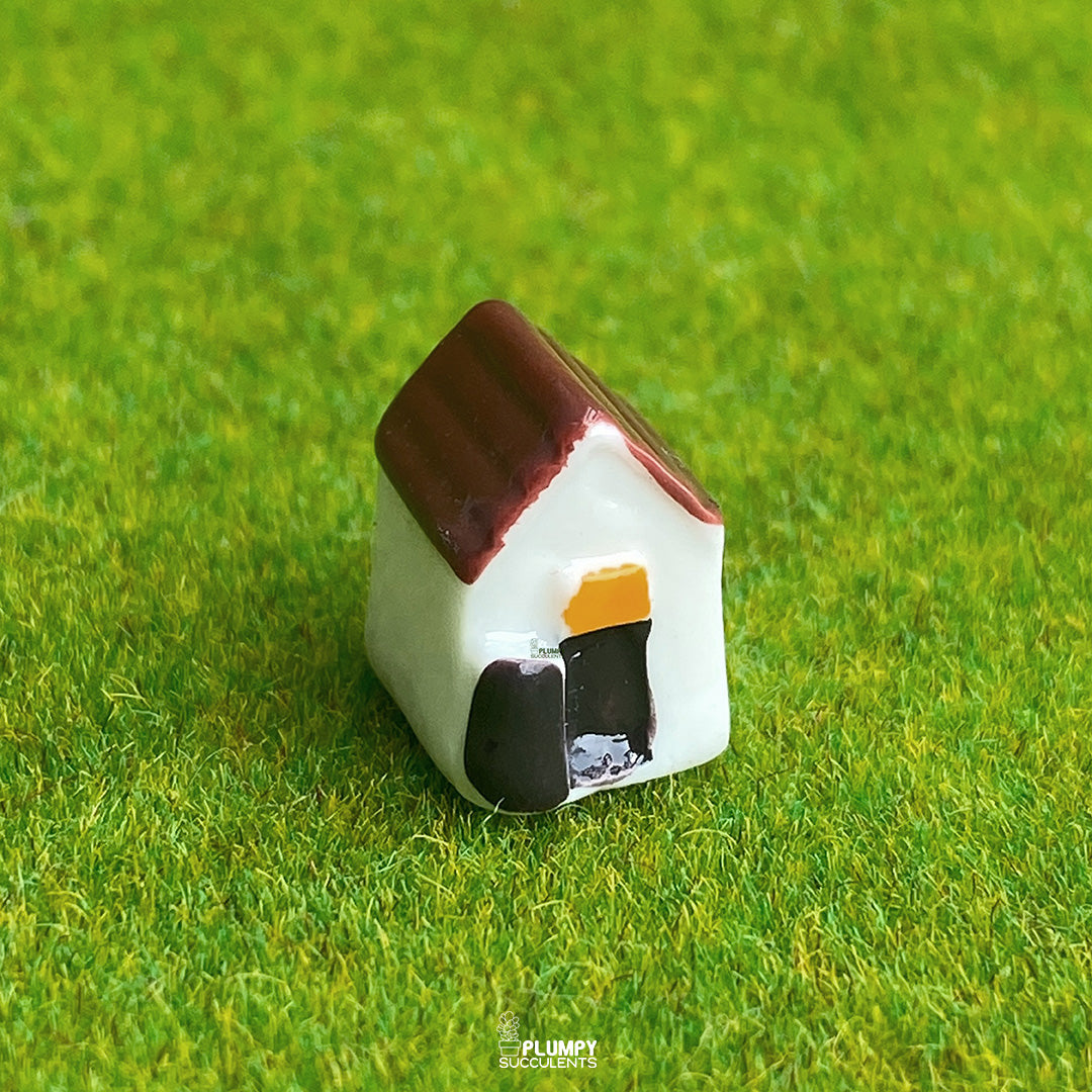 Mini House