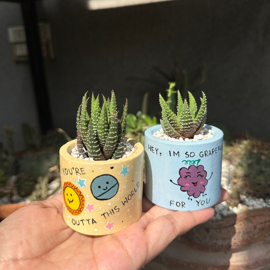 Painted Planters (Indoor Plants)