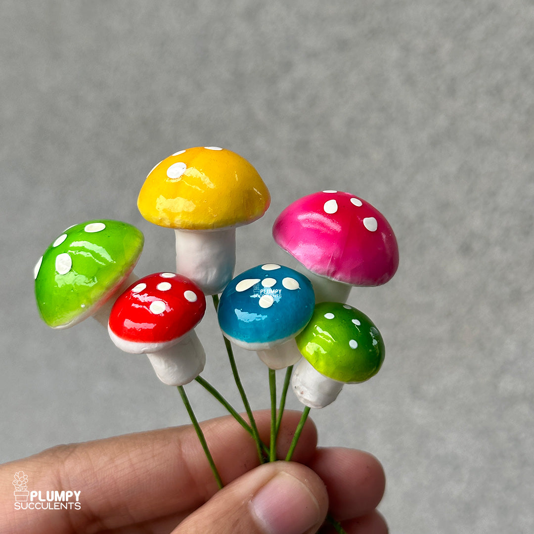 Mushroom (Mix Colors)
