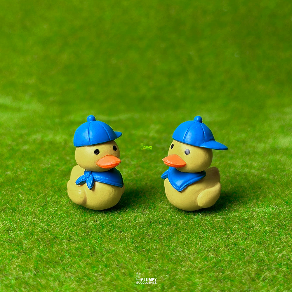 Duck Scout
