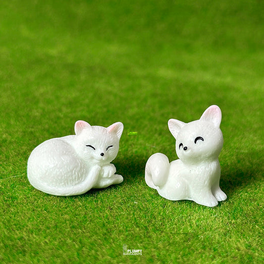 White Cat