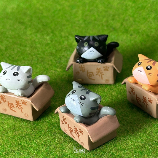 Kitten (Chinese Takeout Box)