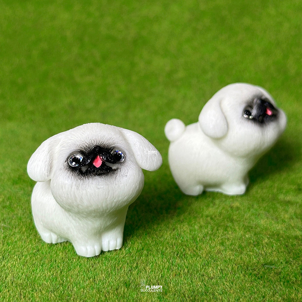 Pug Dog (Sparkling Eyes)