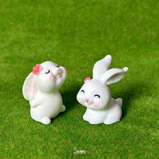 Rabbit Set