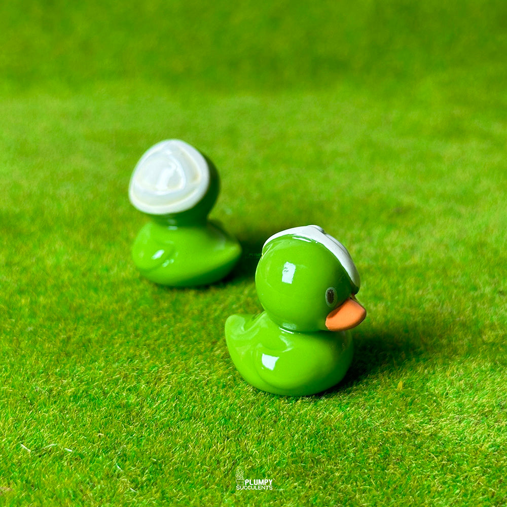 Green Duck