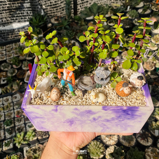 Farmstead Fairy Garden — Limited Edition