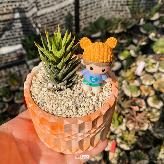 Mini Tower Fairy Garden — Limited Edition