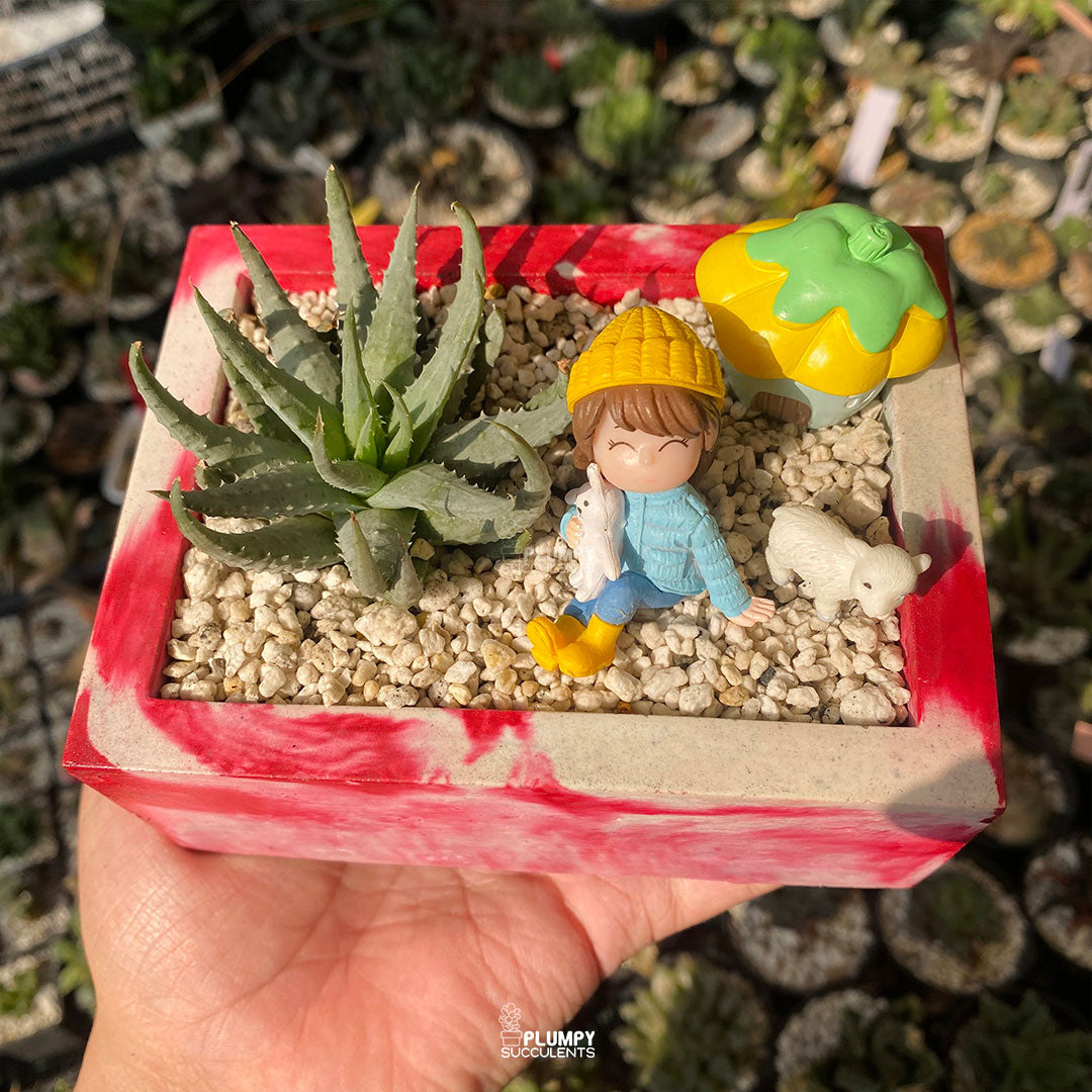 Storybook Cottage Fairy Garden — Limited Edition