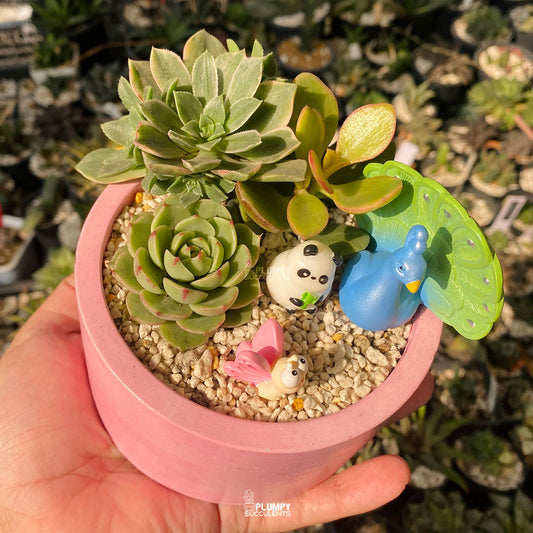 Blushing Peacock Fairy Garden — Limited Edition