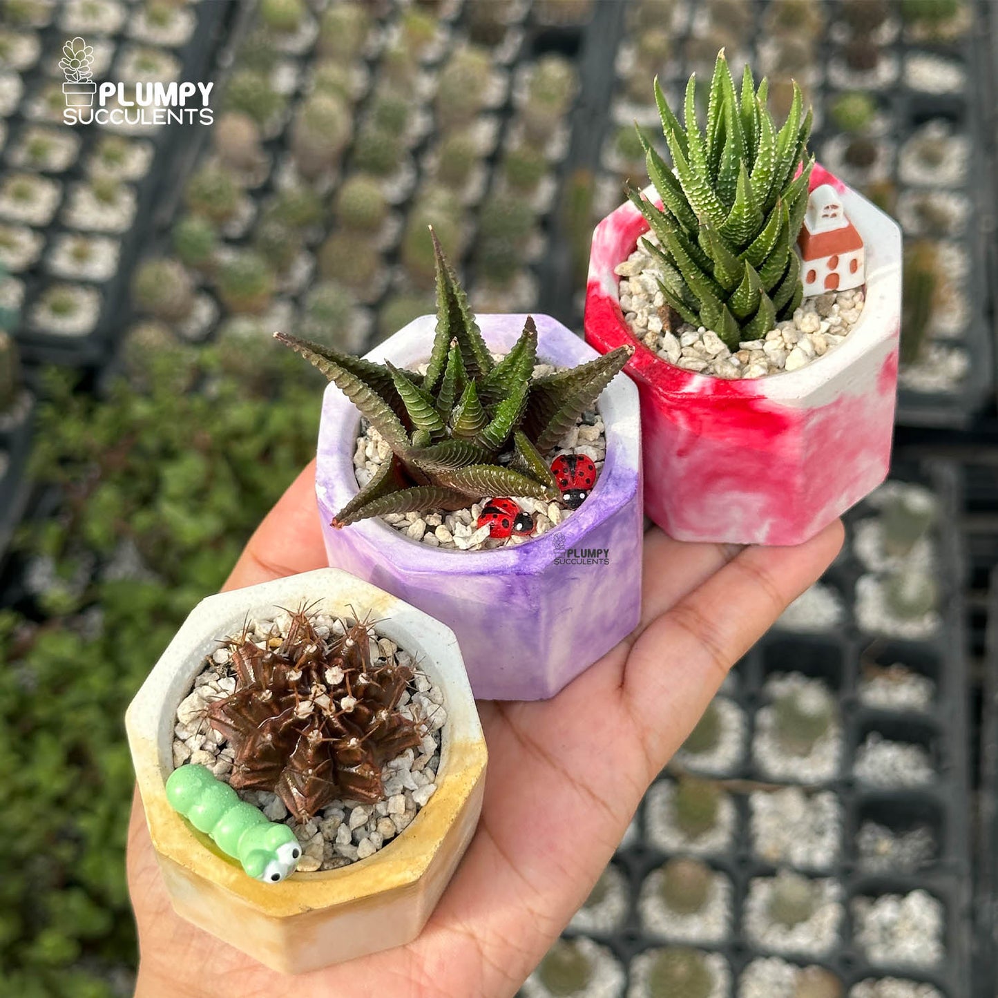 MARBLY TRIO — Set of 3 Mini Succulent & Cactus Planters
