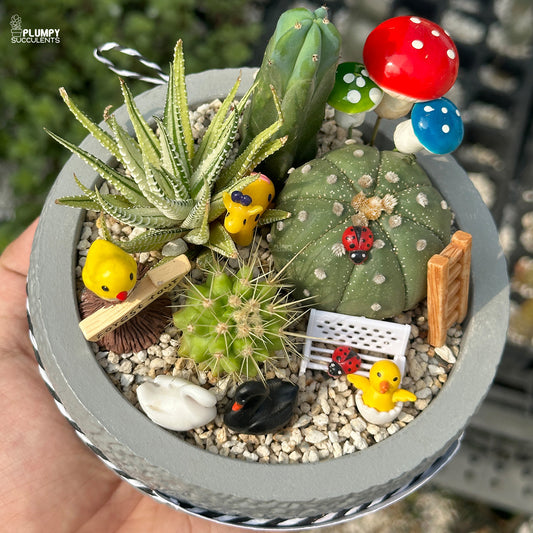 Woodland Wonders – Mini Cactus & Succulent Garden