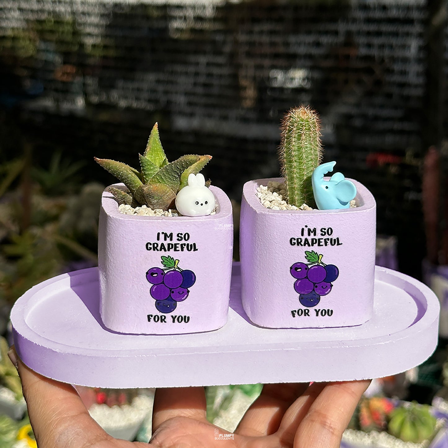 PURPLE – “I’m So Grapeful For You” Planter