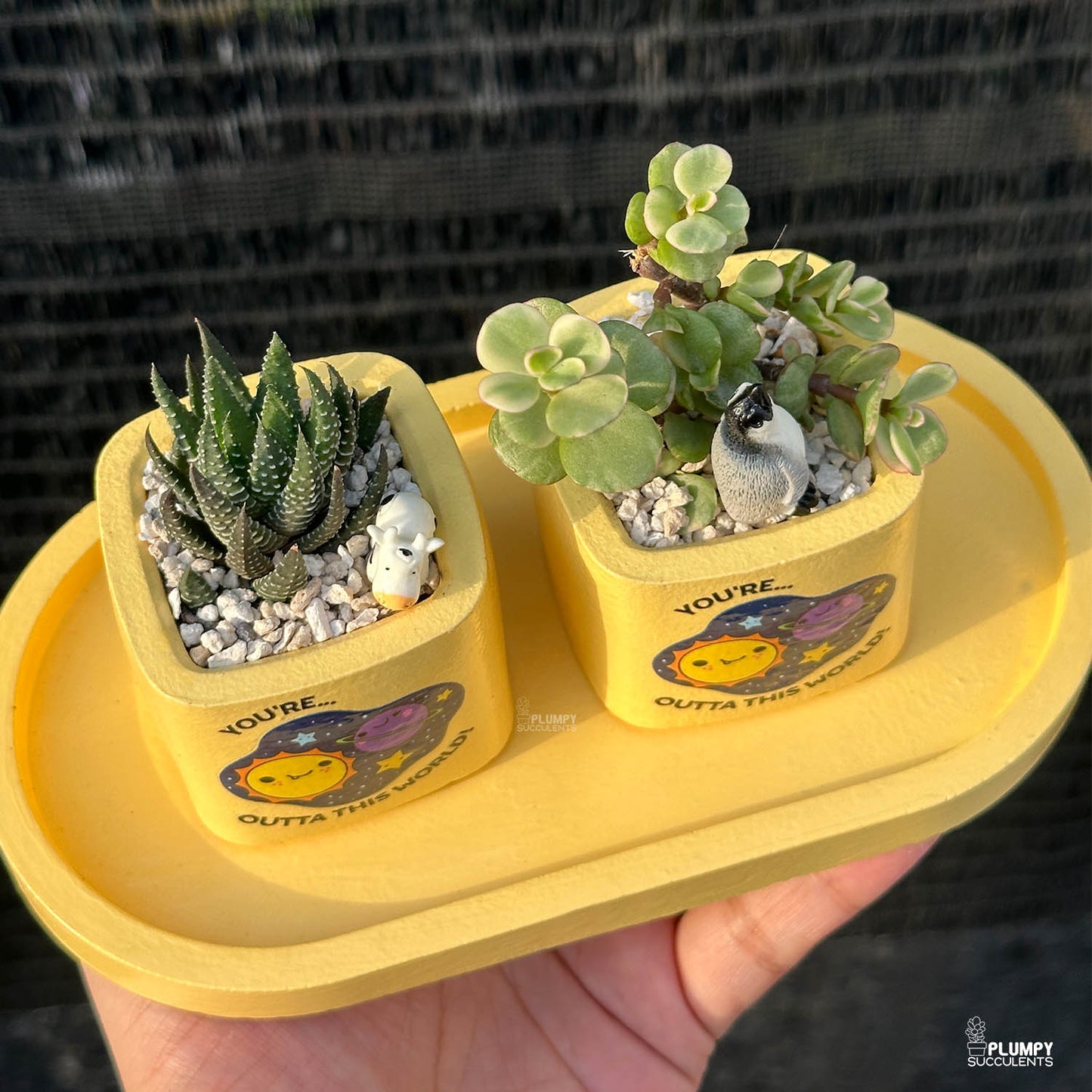 YELLOW – “Joy & Sunshine Planter”
