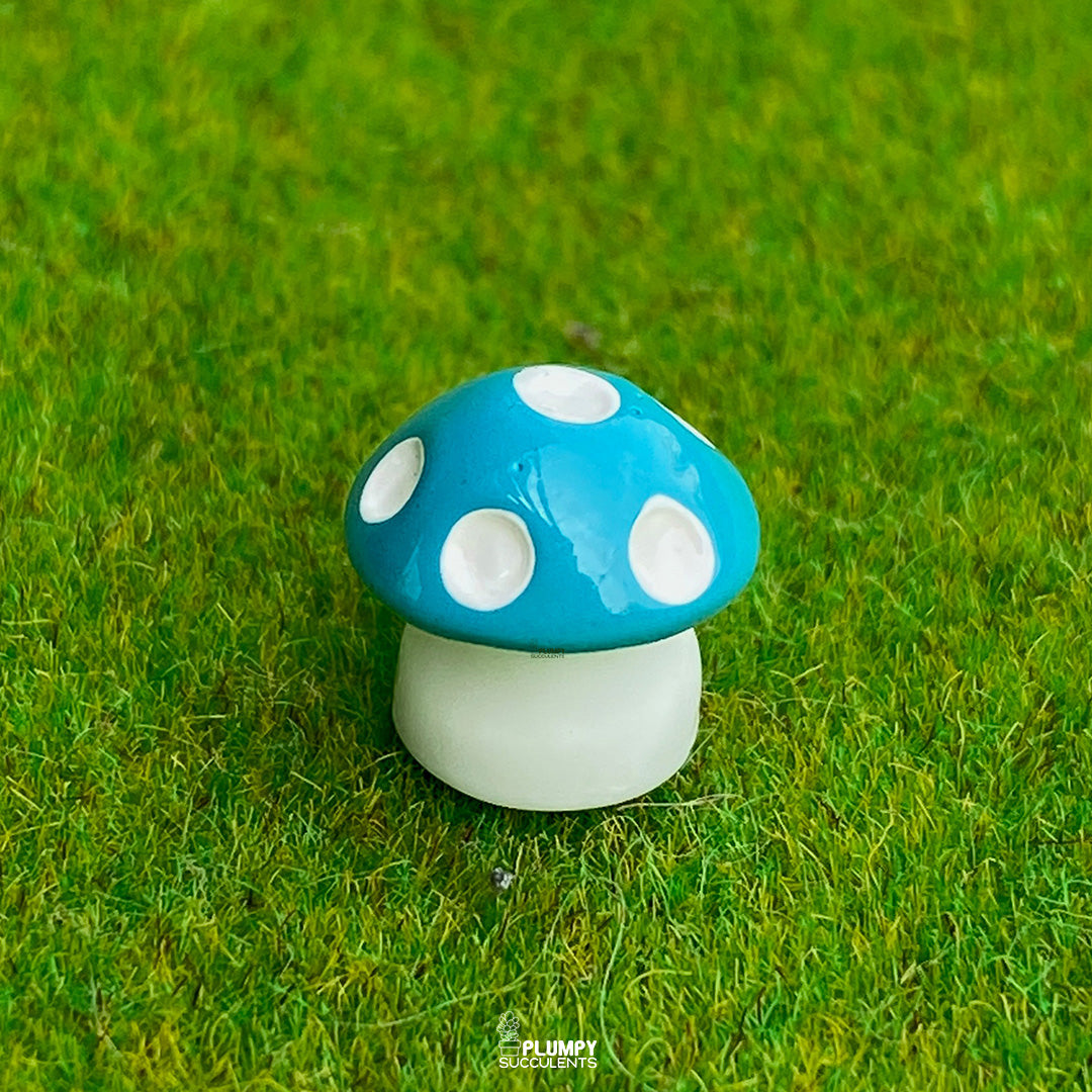 Mini Mushrooms