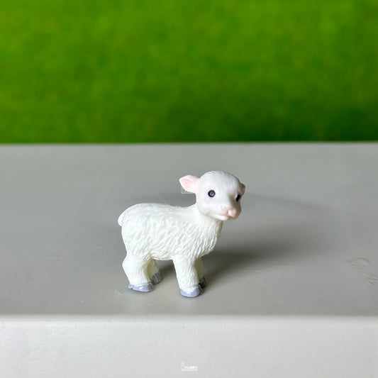 Sheep