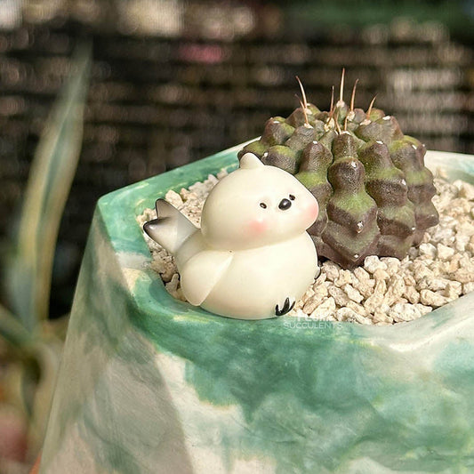 Gymno Cactus β Bird