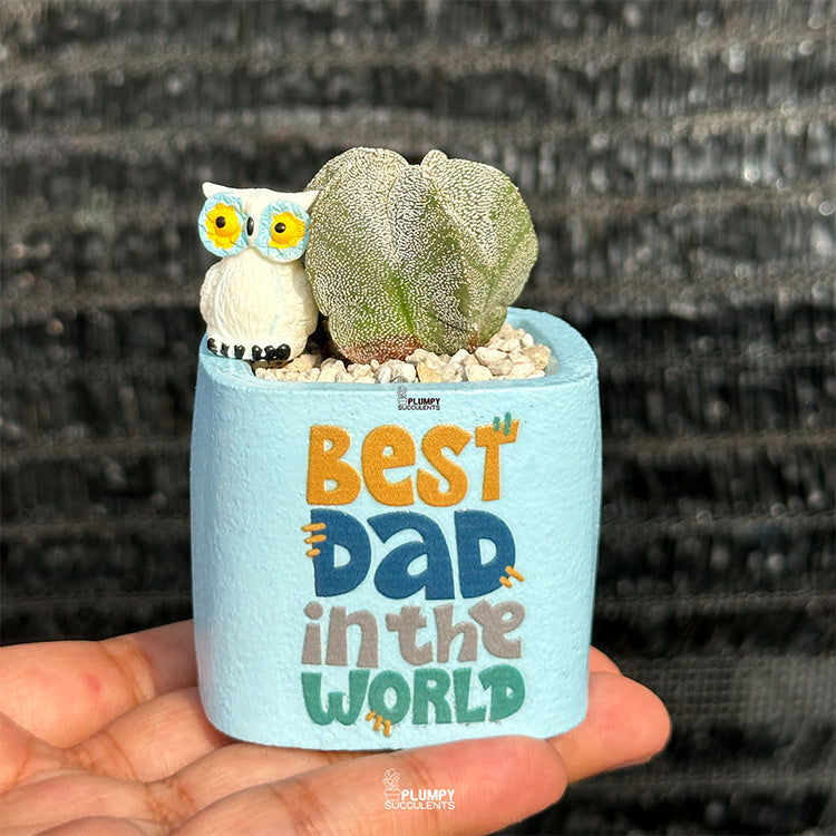Best Dad in the World -Astrophytum Myriostigma with Owl