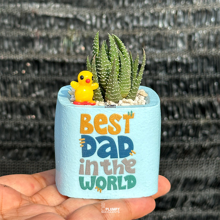 Best Dad in the World -Haworthia Reinwardtii with duckling