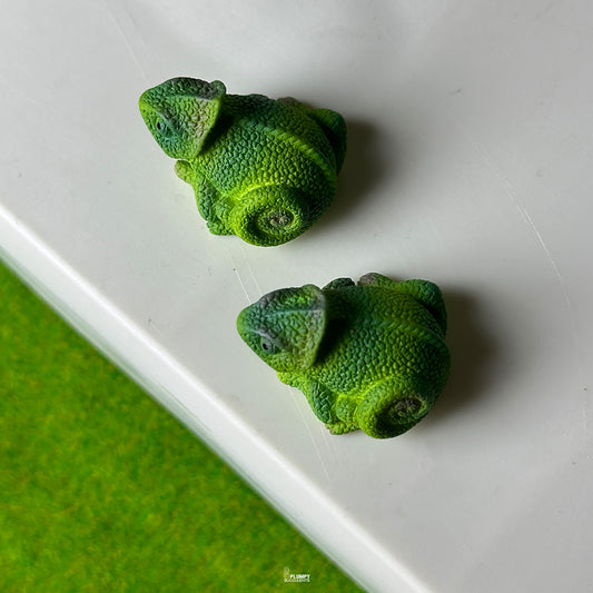 chameleon