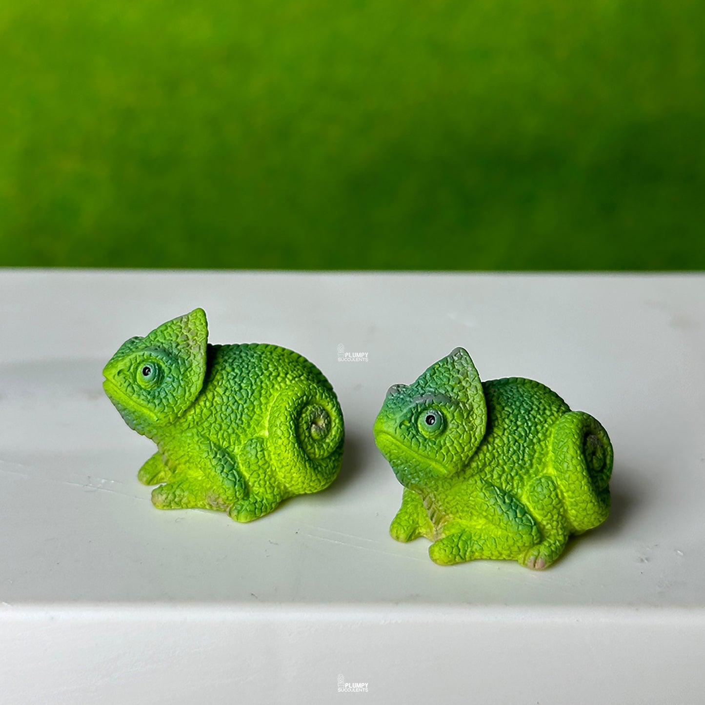 chameleon