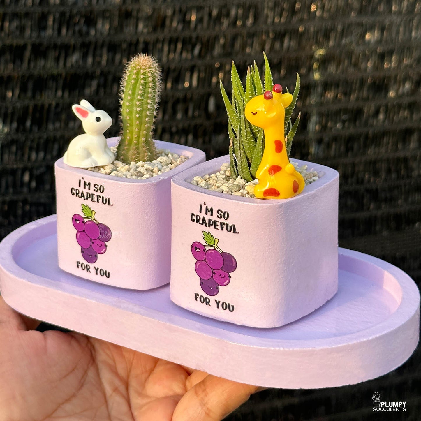 PURPLE – “I’m So Grapeful For You” Planter