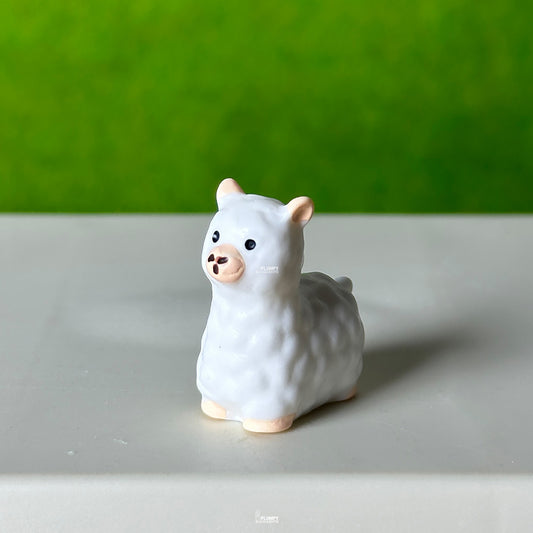 Alpaca