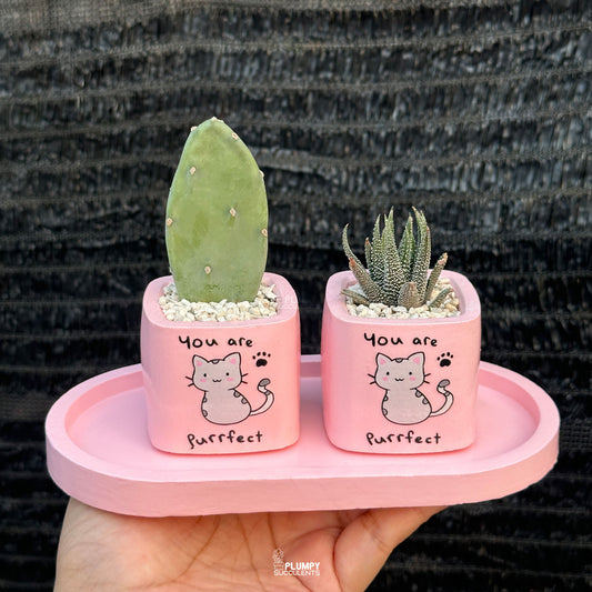 PINK β βYou Are Purrfectβ Planter