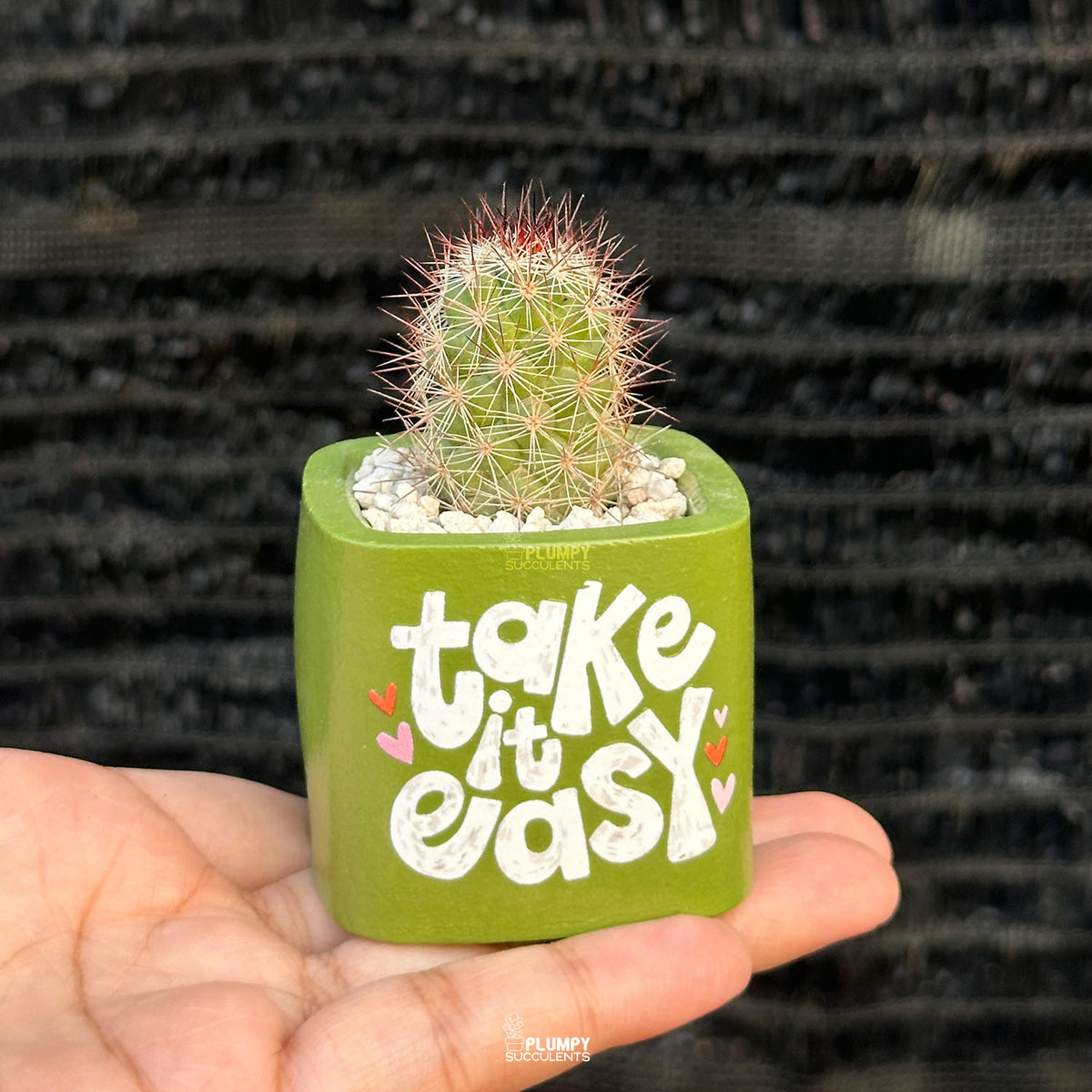 Spring Leaf Green — “Take It Easy”