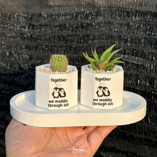 White Octagonal — “Together We Waddle Through Life”
