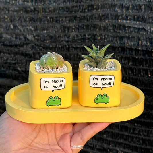 YELLOW - "I'm Proud Of You" Planter