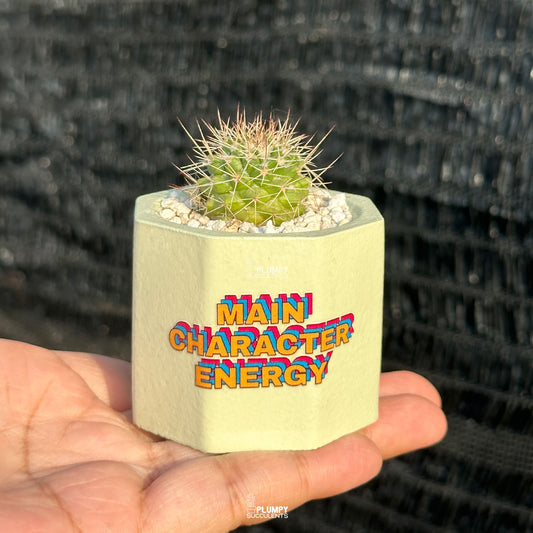 "Main Character Energy" Planter