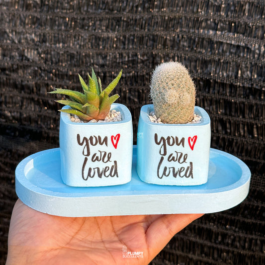 BLUE β βYou Are Lovedβ Planter