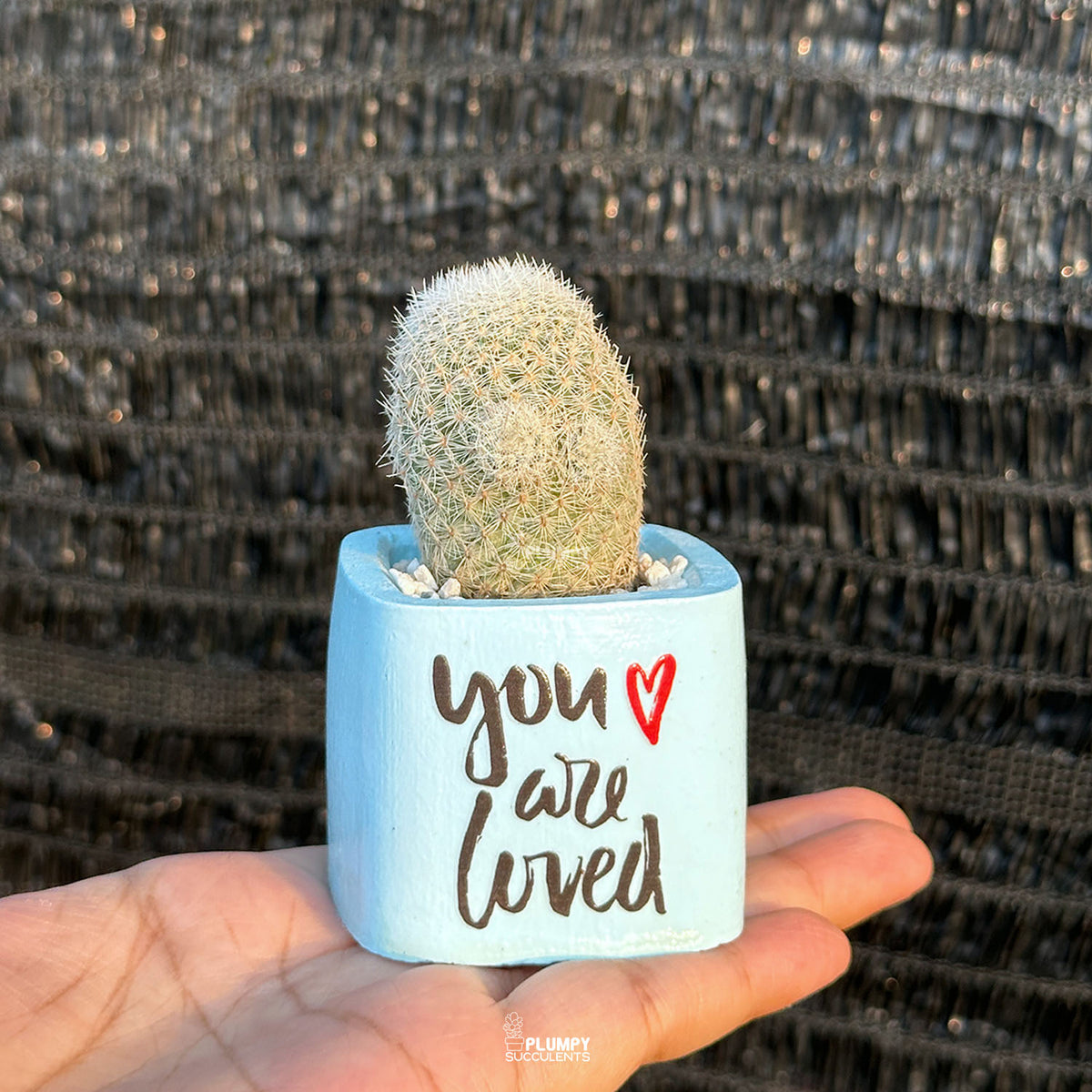 BLUE – “You Are Loved” Planter