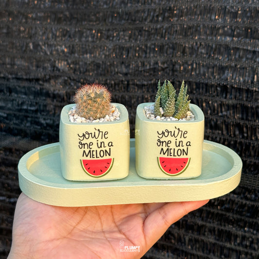 GREEN β βYouβre One in a Melonβ Planter