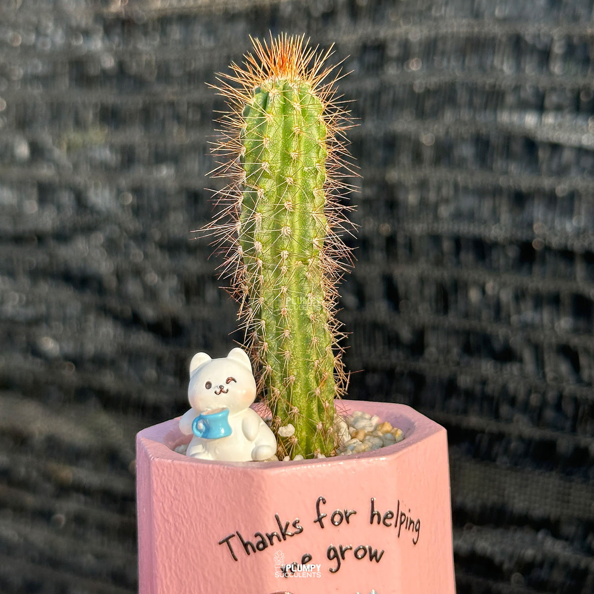 Thanks for Helping Me Grow 🌸