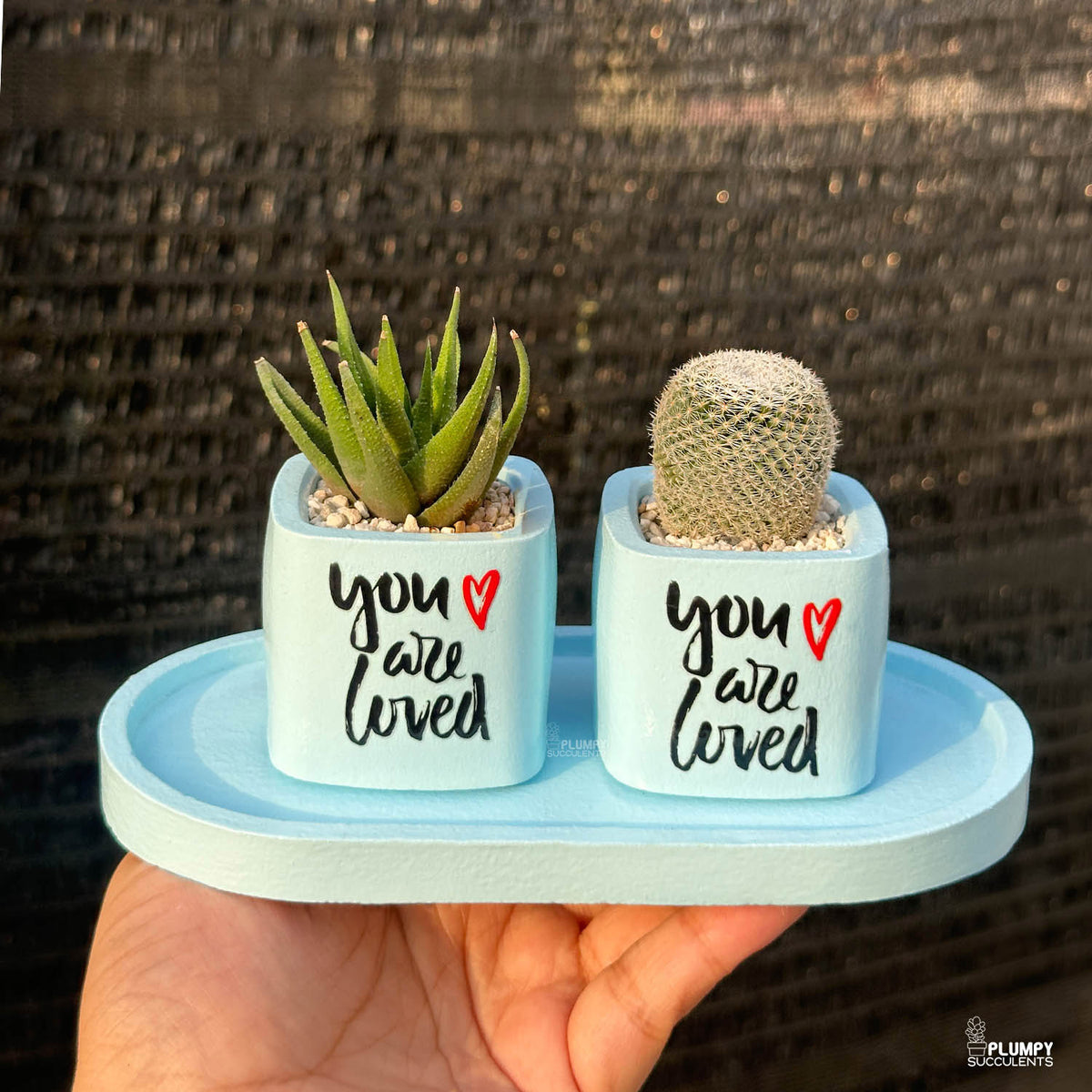 BLUE – “You Are Loved” Planter