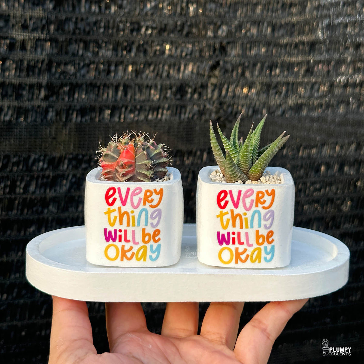 WHITE – “Everything Will Be Okay” Planter