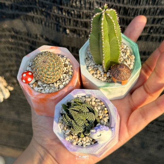 MARBLY HAPPINESS TRIO — Set of 3 Mini Succulent & Cactus Planters