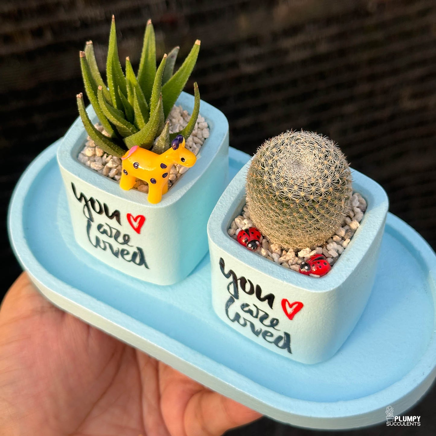 BLUE – “You Are Loved” Planter