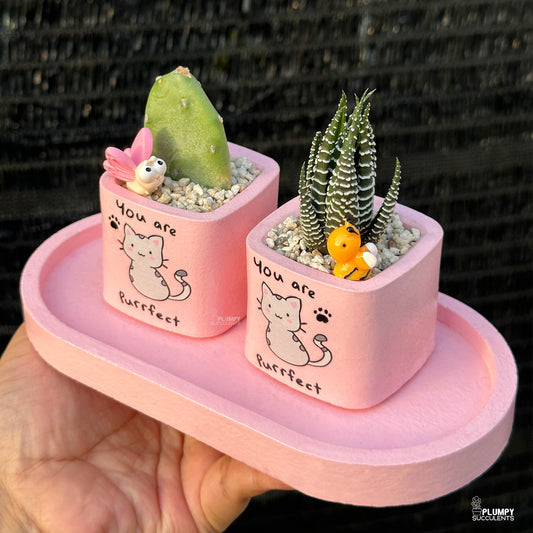 PINK – “You Are Purrfect” Planter