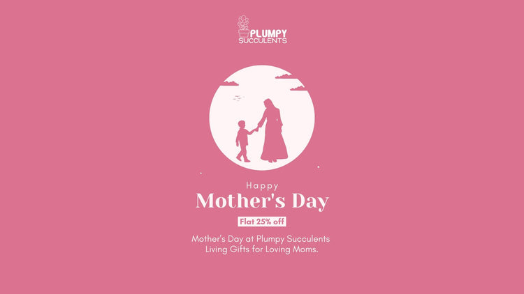 Mother's Day Sale- Plumpy succulents
