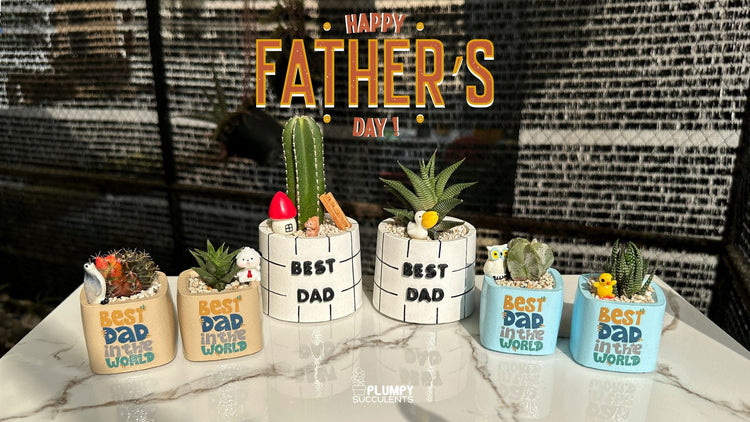 Father's Day Collection
