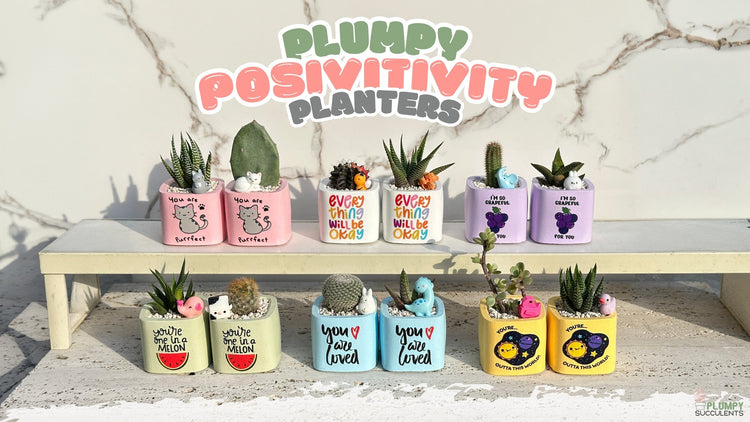 Plumpy Positivity Planters