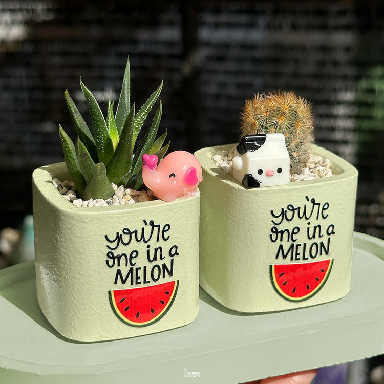 Say It With Plants 💖