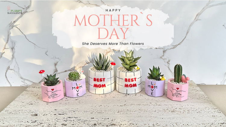 Mother's Day Collection 🌼