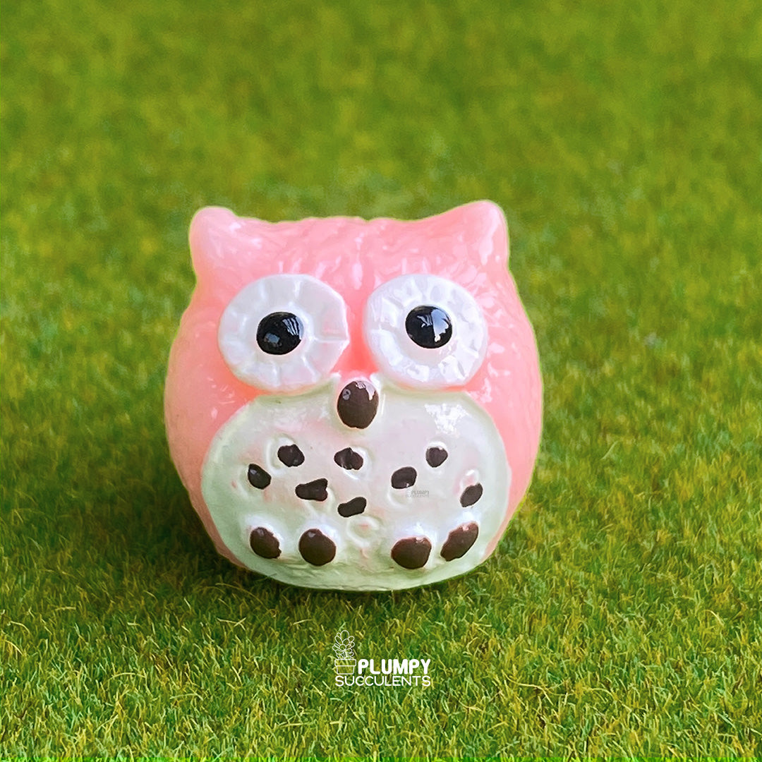 Owl