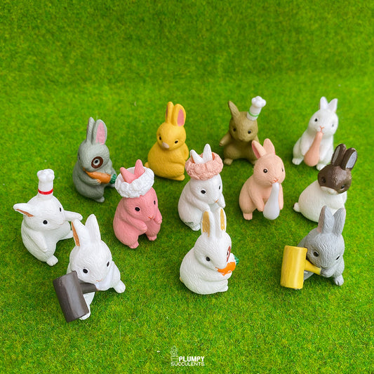 Big Rabbit