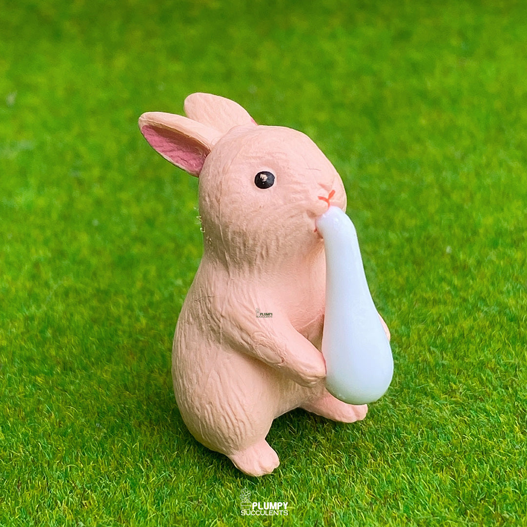 Big Rabbit